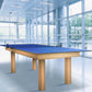Cornilleau Table Tennis Conversion Top (for Pool Tables) - Cornilleau Table Tennis Singapore Official Store